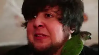 JonTron Stop! Compilation