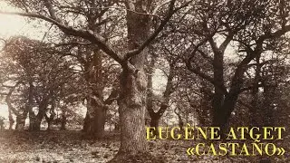 EUGÈNE ATGET | «Castaño» (1919-1921)