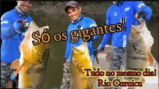 Rio Curuicu! O melhor Rio que ja pesquei! Só explosão de Tucunaré