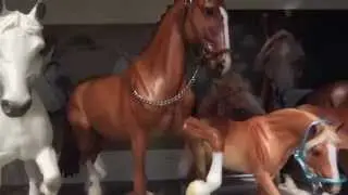 Breyer Collection Tour 2014