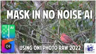 How to mask No Noise AI using ON1 Photo Raw 2022