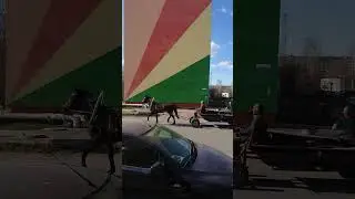 лошадка