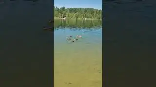 #ВикаЦыгановаЯзакрою глазаЯзабуду обидыЯ прощу даже тоЧто не стоит прощать