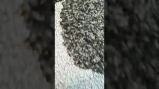 KAKA