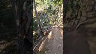 По дороге к дамбе болтаю. Жизнь в США