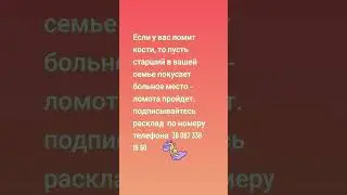 16 августа 2024 г.