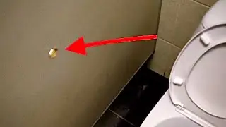 Дырки в немецких туалетах