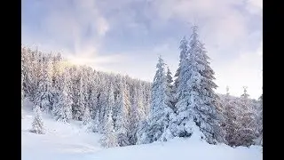 Зимовка пчел в зимовнике