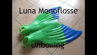 Luna Monoflosse Unboxing [Deutsch/German]