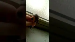 Il mio inizio sul  canale