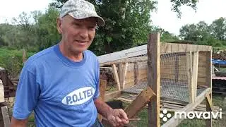 На конец то дома//Крольчиха Соня//Мамкин огород 👍