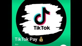 Tik tok pay обзор заработка