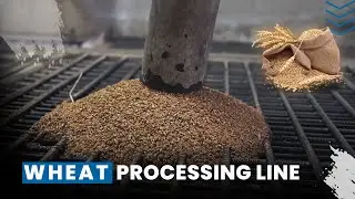 Wheat Processing Plant | How Wheat is Process inside the Factory | Wheat Processing Line