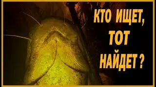 КТО ИЩЕТ, ТОТ НАЙДЕТ??? ОХОТА НА СОМА | ПОДВОДНАЯ ОХОТА 2021