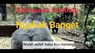 Lucu danngakak banget dibuatnya,mantap sidimpuan dubbing