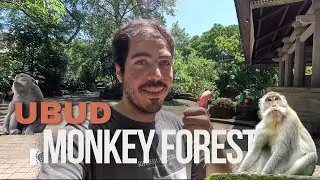 Bali Ubud Ünlü Monkey Forest'i Ziyaret Ediyoruz | VLOG