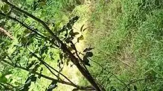 Villa Quintana Airsoft Gamesite