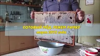 СОТОВЫЙ МЁД.  РЕЖЕМ РАМКУ