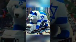Animal Shorts negara muslim Dan non muslim ❤️💕 | Riyad Algorithm | Indonesia 