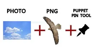 Make video from photos by after effects