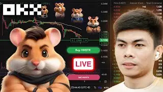 Hamster Kombat LIVE Buy and Sell 🔴 Pre-Market Trading