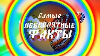 Интересные факты: познавательный пост в потрясающих фотографиях
