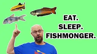 RARE Corydoras and Tetra, Stunning Rhads, and the PERFECT Tub Pond Fish! Warehouse Tour