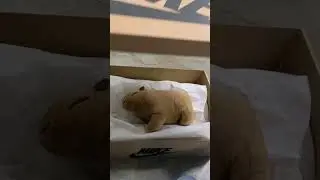 John Pork Sent Me Something AGAIN!?!!