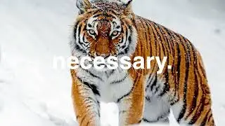 Necessary | Music to vent or workout hiphop rap