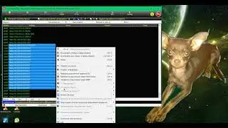 SESP_v4.4.3.120-121