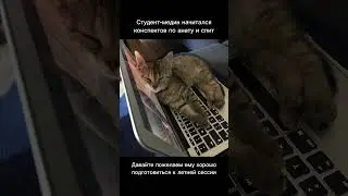 Скоро летняя сессия 🫠 Но я знаю, как учиться без траты нервов. Ссылка в описании.
