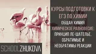 ЕГЭ 2021 Химия. Равновесие