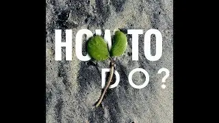 How To Add Text Behind An Object Using Snapseed - Tutorial