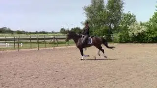 Touré galop