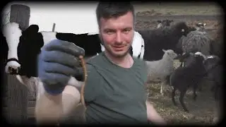 ЧТО СТАЛО С ХОЗЯЙСТВОМ, ПОСЛЕДНИЕ НОВОСТИ
