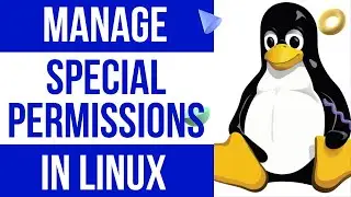 What is Special Permissions | What is SUID | What is SGID | What is Sticky Bit | What is Umask