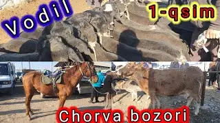VODIL CHORVA BOZORI. Otlar , mollar va quylar narhlari 1-qsim. 30,03, 2022-YIL