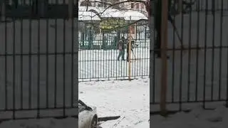 добрый человек