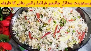 Chinese Fried Rice  | resturant style Fried Rice recipe | egg fried rice | Cooking with Hina Majeed