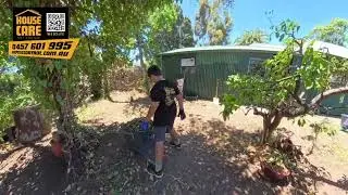 Tree Trimming by House Care Pest Control