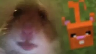 my new pet hamster in Minecraft
