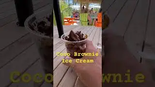 Coco Cay’s Best Dessert- Don’t Watch if You’re Hungry 