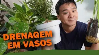 4 Segredos para a DRENAGEM em Vasos
