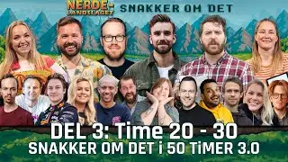 Del 3: Time 20 - 30: NERDELANDSLAGET SNAKKER OM DET I 50 TIMER 3.0 (2024)