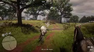 Red dead online