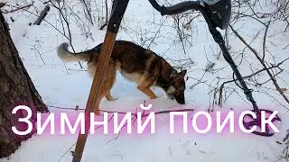 Поиск клада в зимнем лесу.