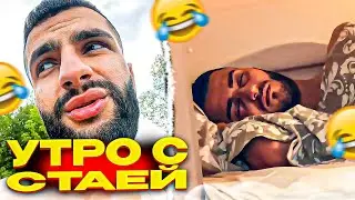 УТРО СО СТАЕЙ ! равшан, рентка, стил ирл !