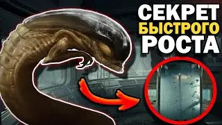 КАК ЧУЖОЙ ТАК БЫСТРО РАСТЁТ? (Feat KENTEK)