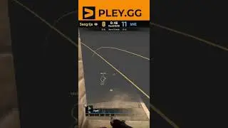 rigoN - ACE
