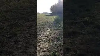 ЧУЖОЙ СРЕДИ СВОИХ. ФИНАЛ